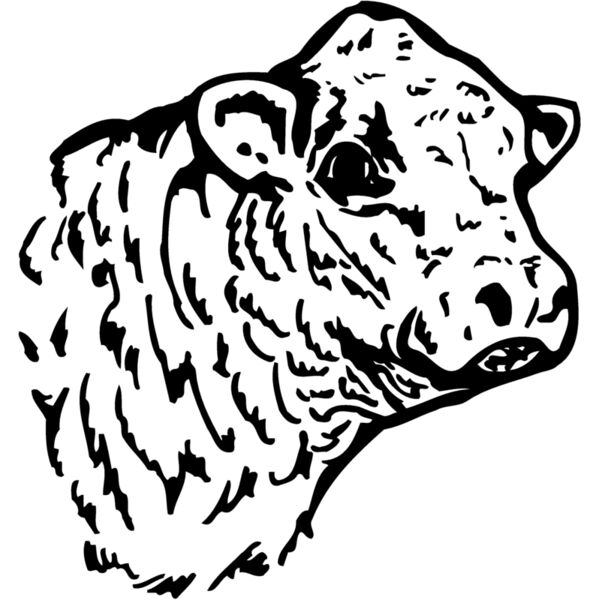 COW010 Thumbnail