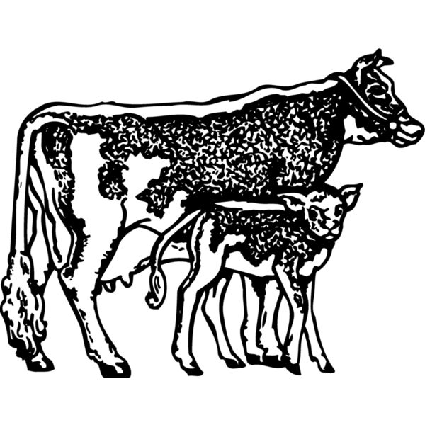 COW032 Thumbnail