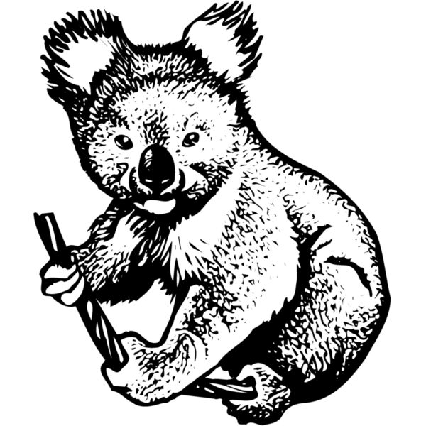 BEAR007 Thumbnail
