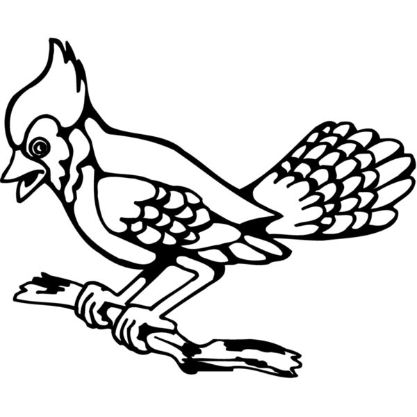 BIRD035 Thumbnail