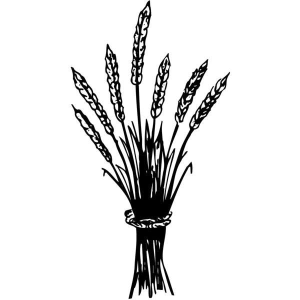 GRAIN008 Thumbnail